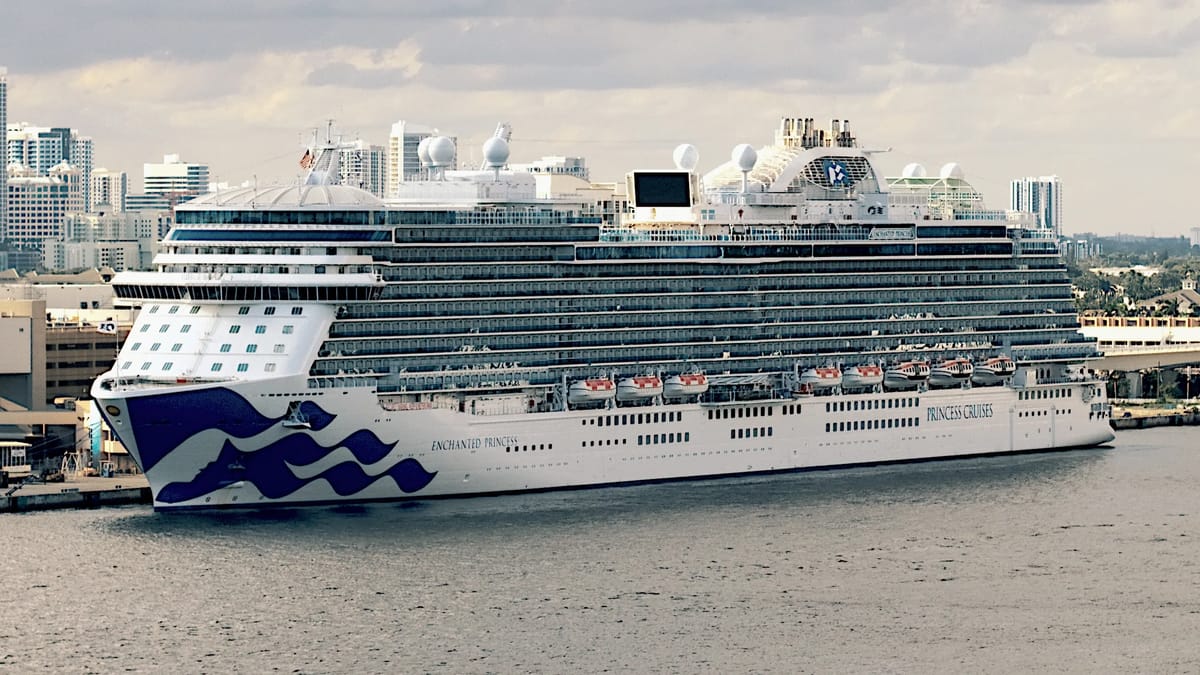 Enchanted Princess at sea