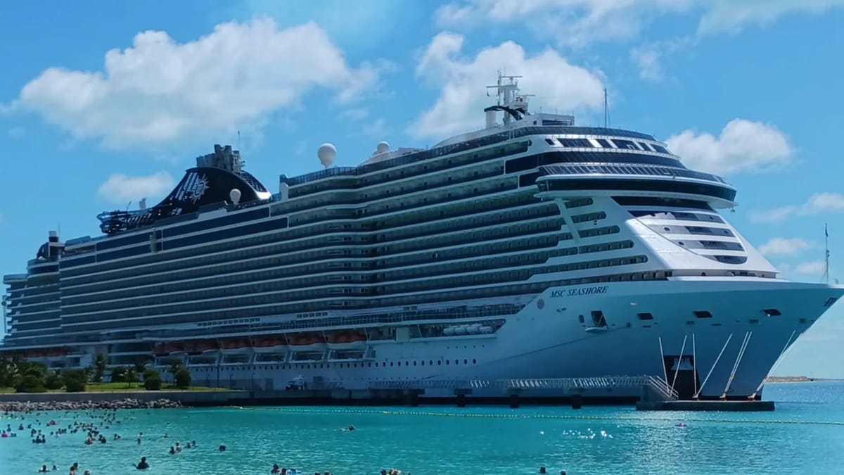 MSC Seashore at sea