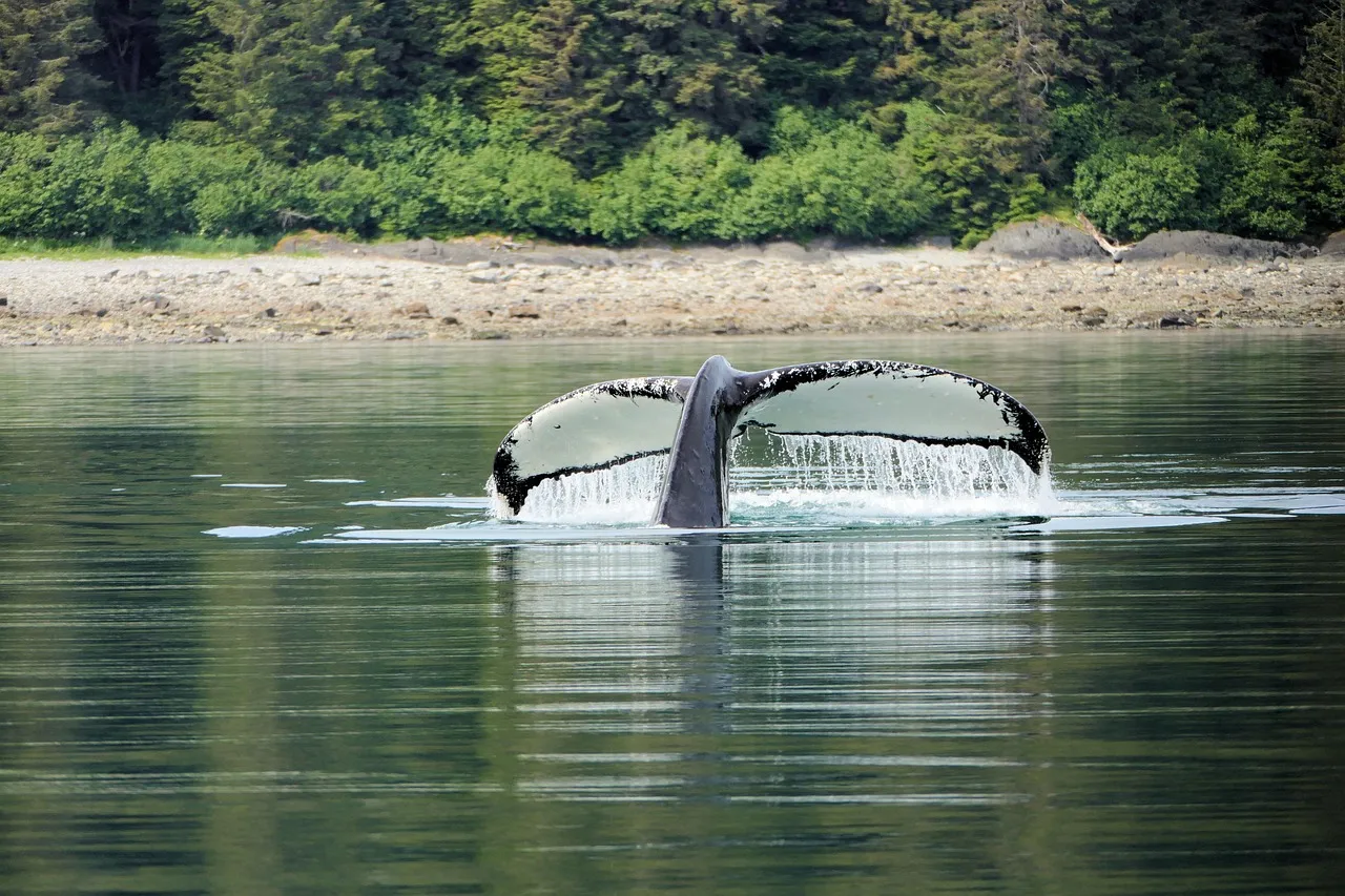 Icy Strait Point, United States