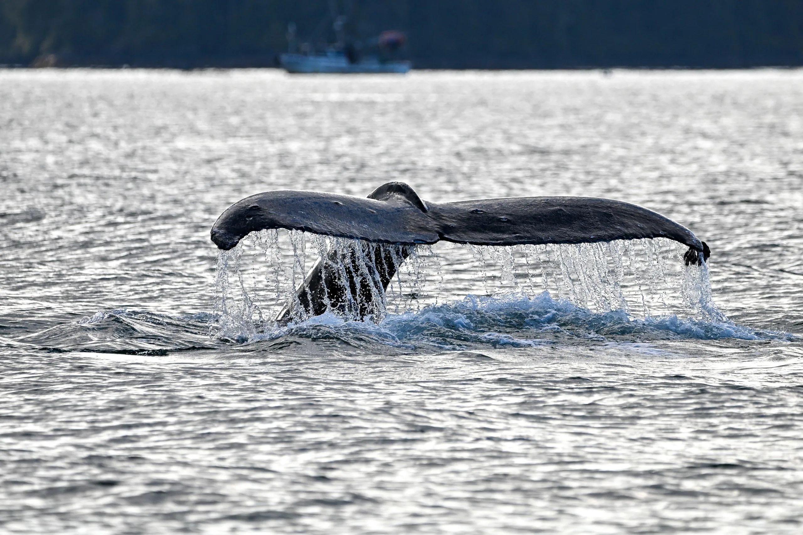 Sitka, United States