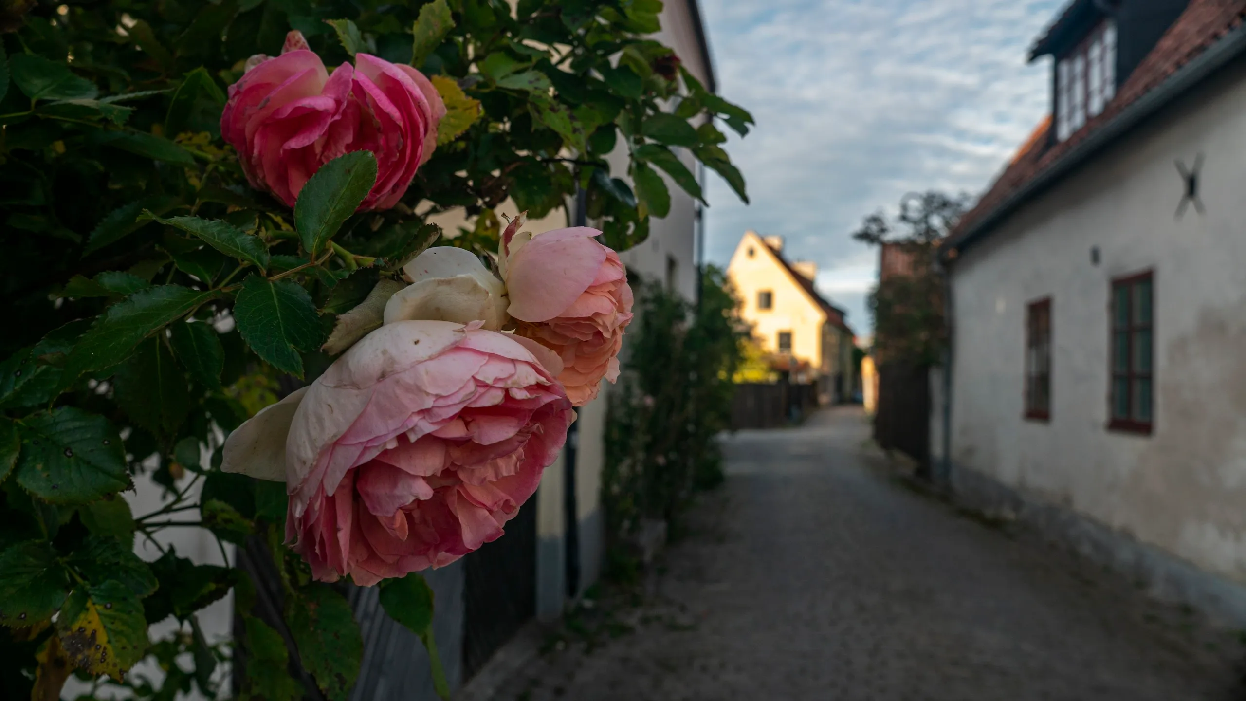 Visby, Sweden