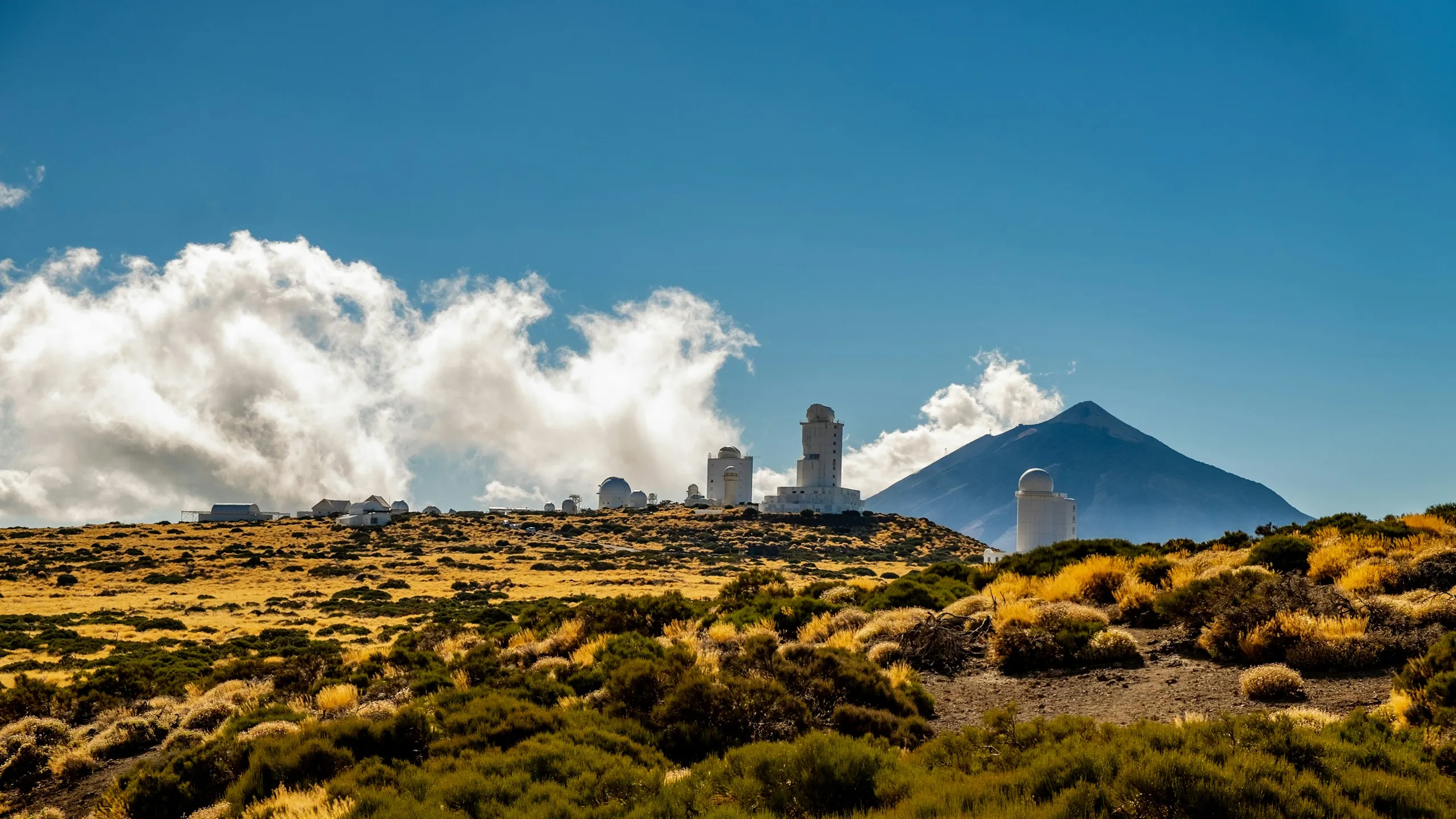 Santa Cruz de Tenerife, Spain