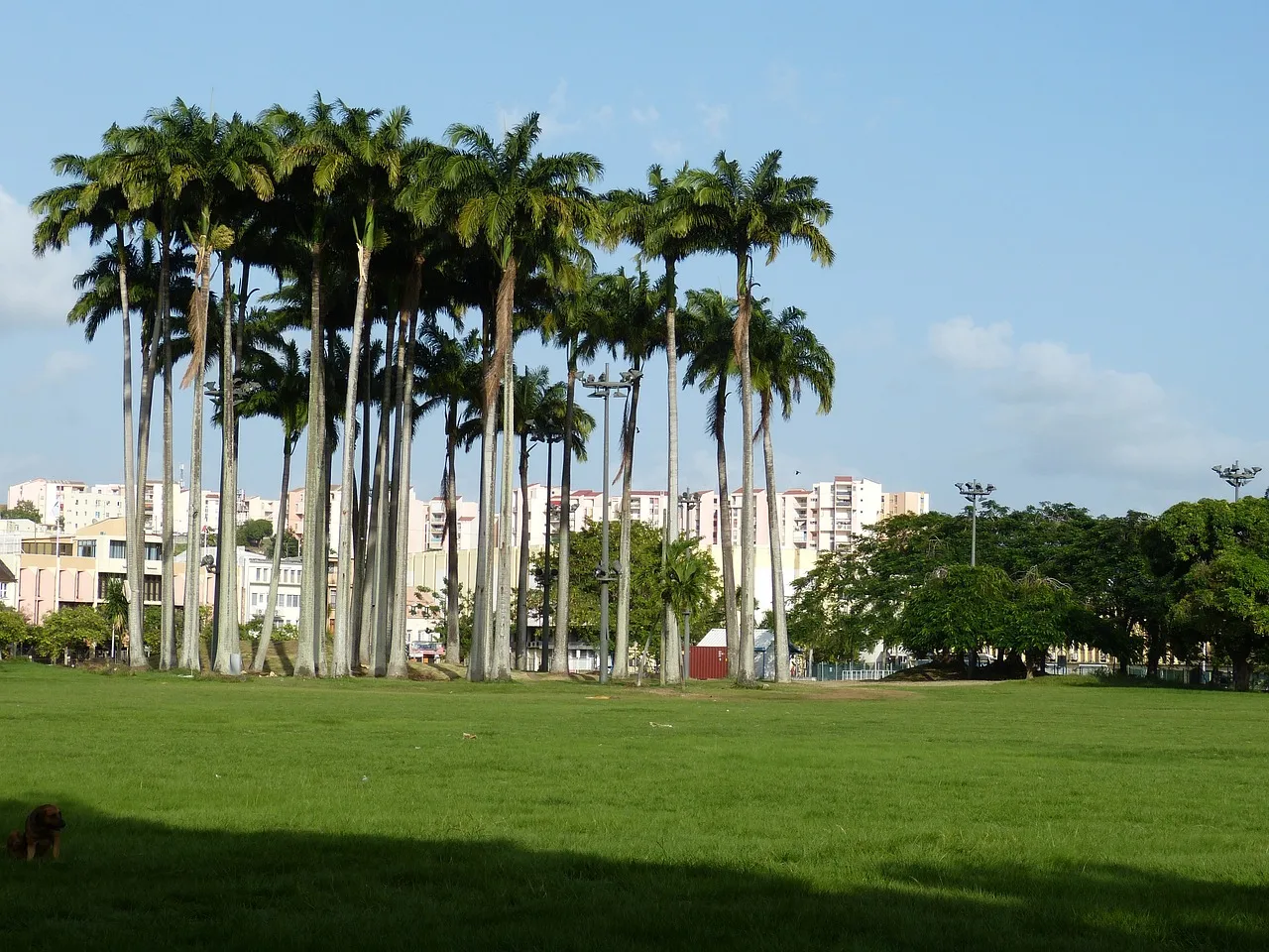 Fort-de-France, Martinique