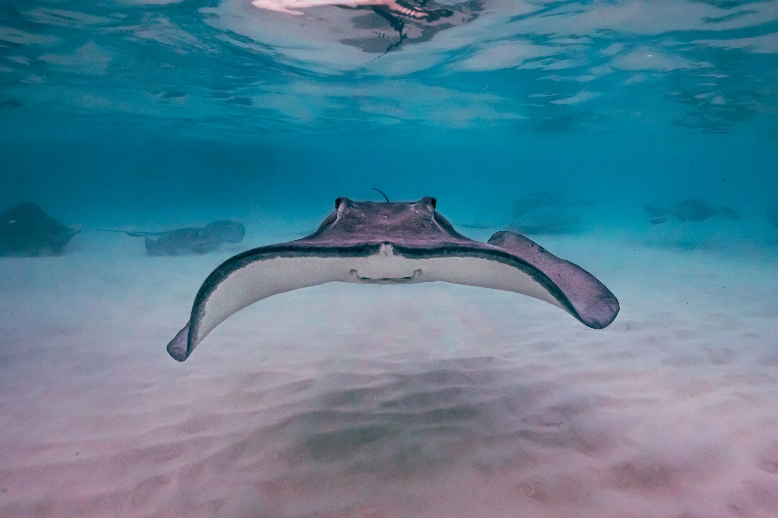 Grand Cayman Island, Cayman Islands