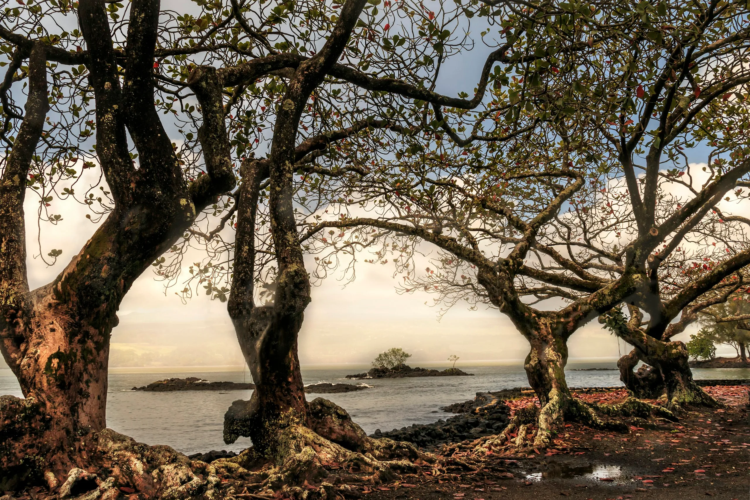 Hilo, United States