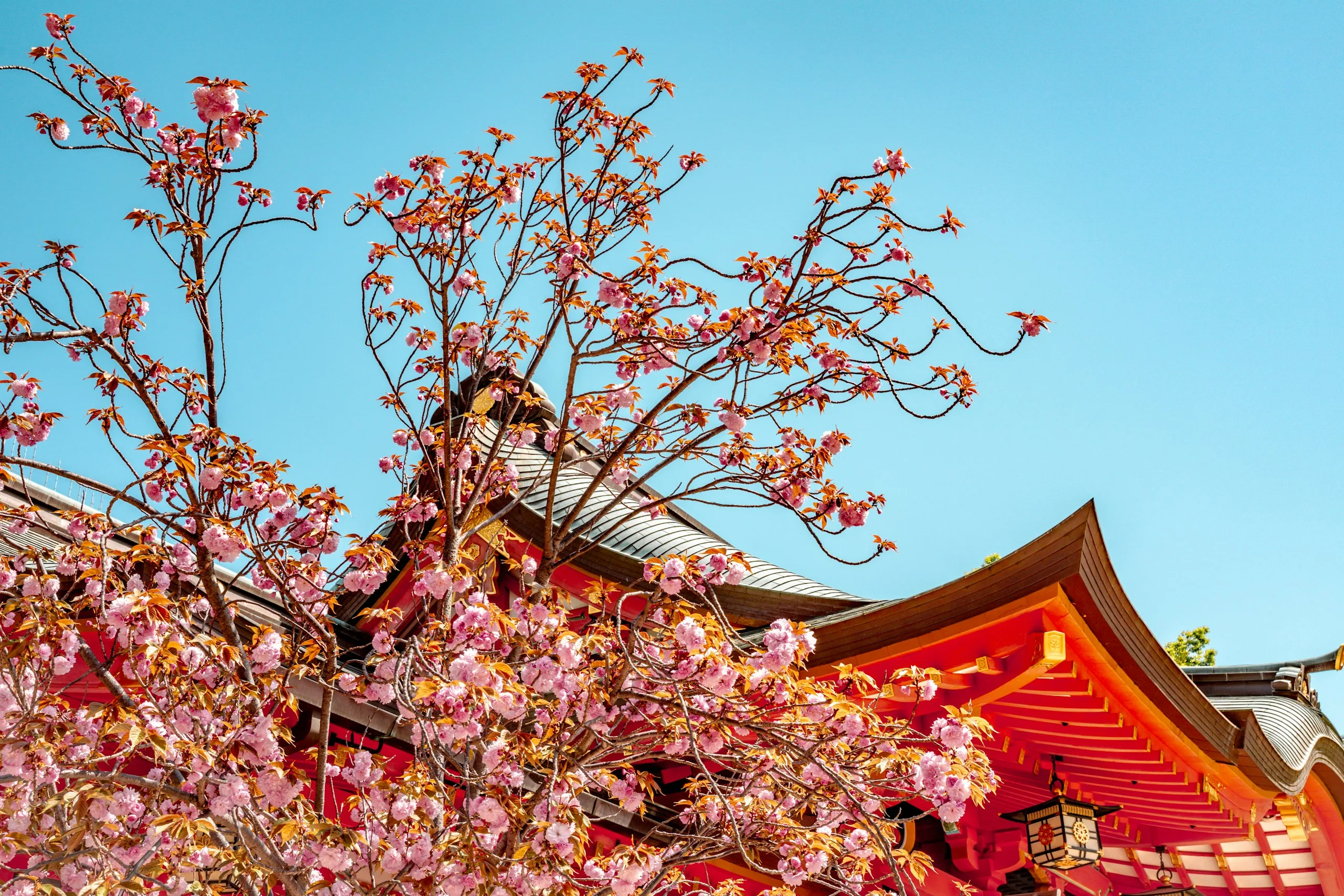 Kobe (Osaka), Japan