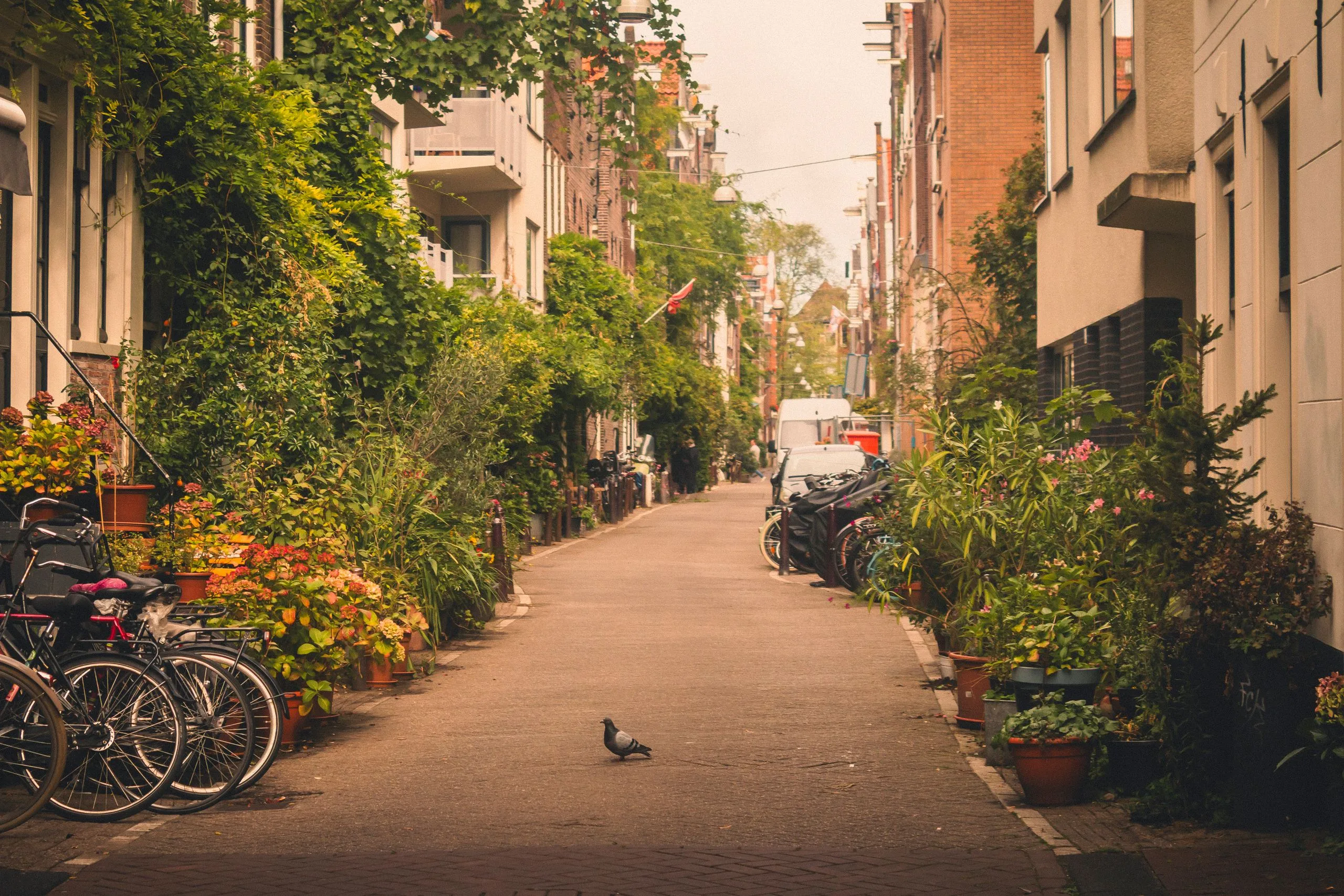 Amsterdam, Netherlands