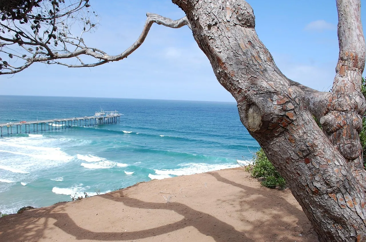 San Diego, United States