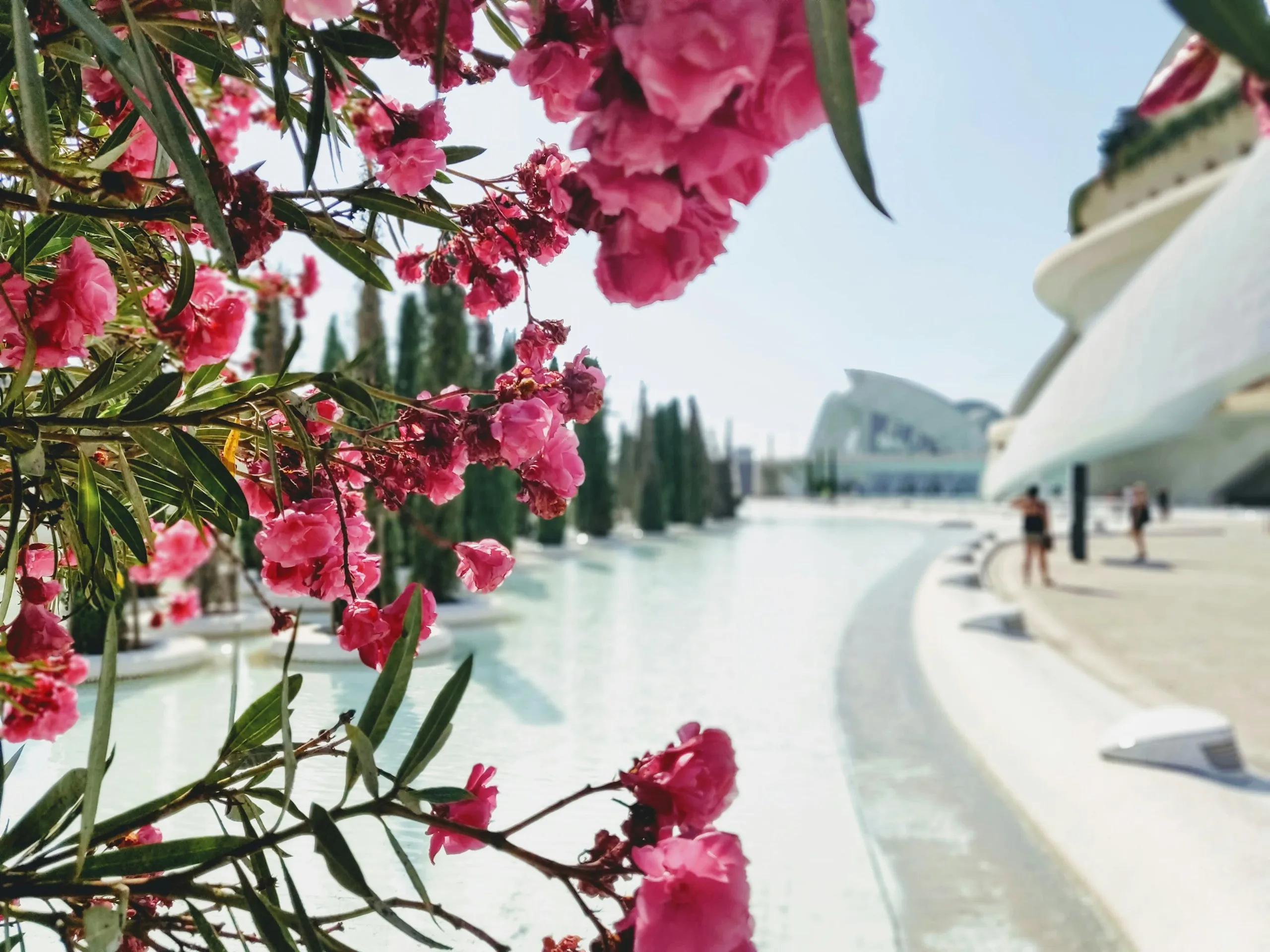 Valencia, Spain