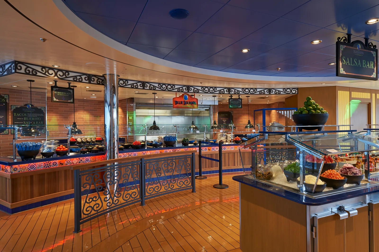 Blue Iguana