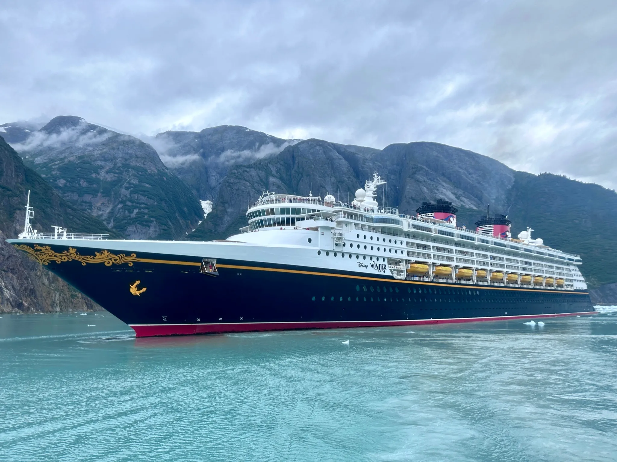 Disney Wonder at sea