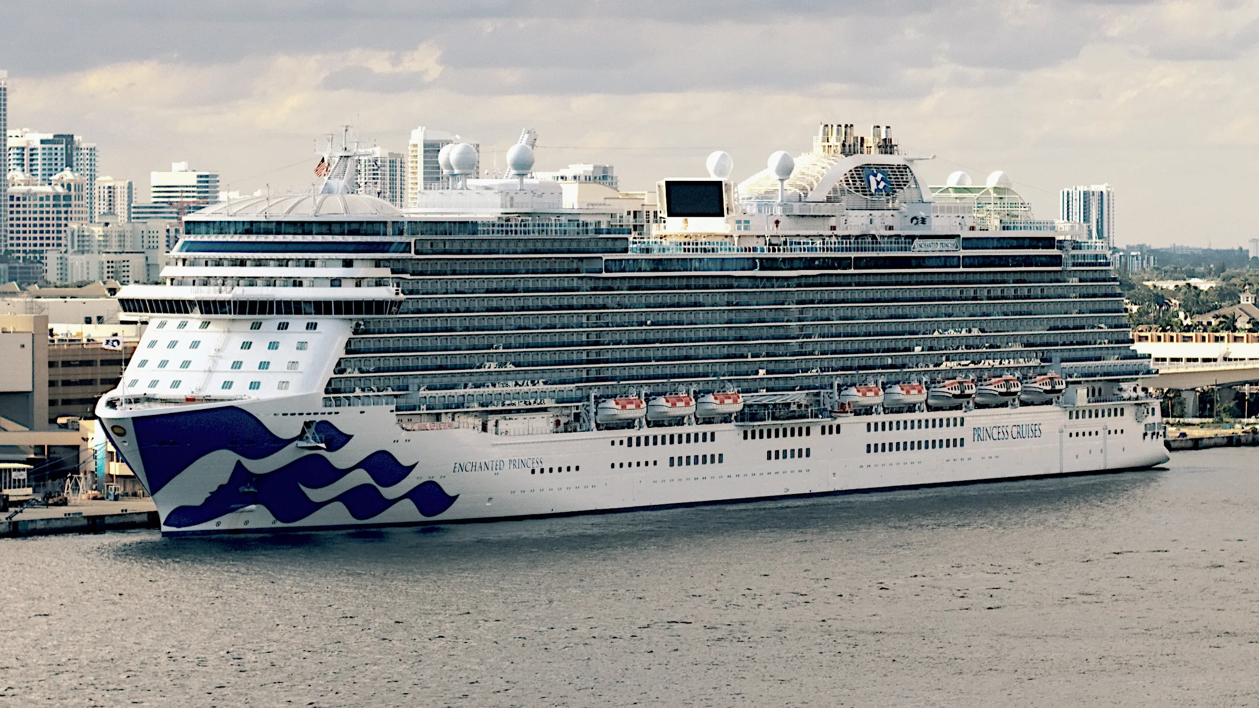 Enchanted Princess at sea