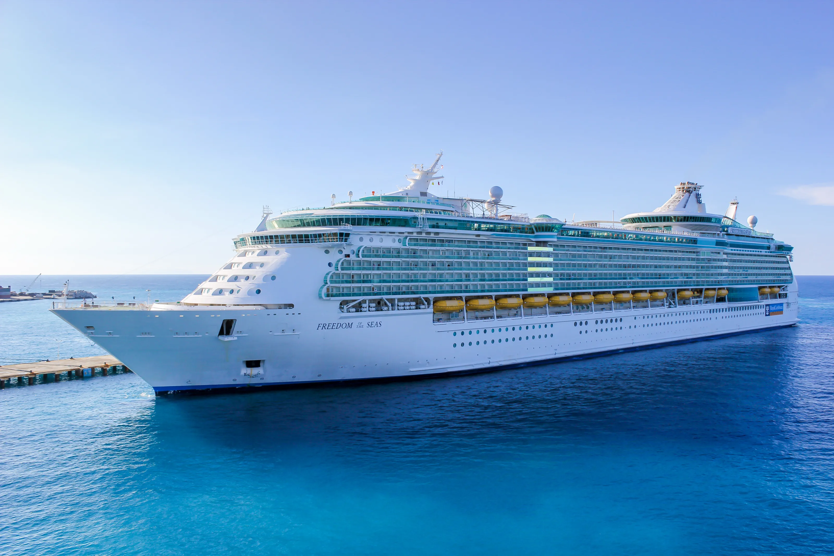 Freedom Of The Seas at sea