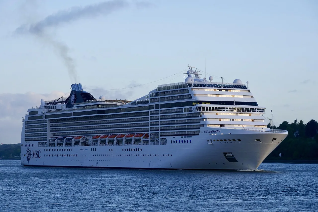 MSC Magnifica at sea