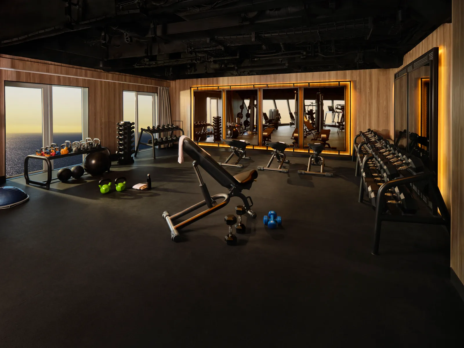 Pulse Fitness Center Weight Area