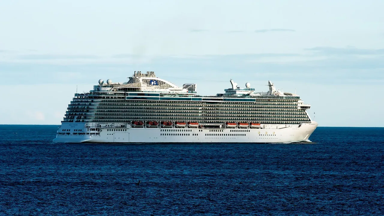 Regal Princess at sea